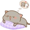 CatsForLety 14