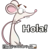 Hola!