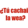 ¿Tú cachai
la wea?