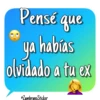 Pensé Que... 8