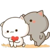 CatsForLety 15