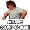 CHRISTIAN PADILLA
NO MAMES
Que PenDEJO ESTAS!