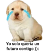 perritus beibes 11