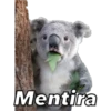 Animales 12