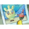 bob toronja 11