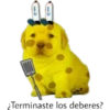 perritus beibes 12