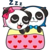 Panditas enamorados 12