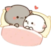 CatsForLety 16