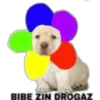 perritus beibes 13