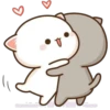 CatsForLety 17