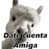 Animales 15