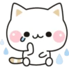 Cat 14
