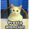 Presta
atención