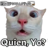 FESWGRILLOW RA Quien, Yo?