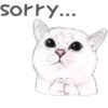 Cat Talk 8