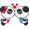 Panditas enamorados 13