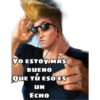 Animados 14