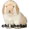 chi cheñol