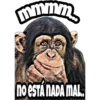 PLANETA DE LOS SIMIOS 17