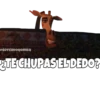 Madagascar 1 15