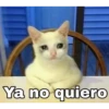 Ya no quiero
