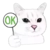 Cat Talk 9