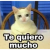 Te quiero
mucho