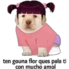 ten gouna flor ques pala ti
con mucho amol