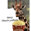 Animales 16