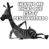 Madagascar 1 18