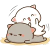 CatsForLety 19
