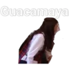 Guacamaya