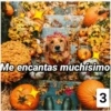 Secuencias de perritos 18