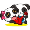 Panditas enamorados 16