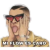 MI FLOW ES CARO