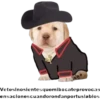 perritus beibes 15