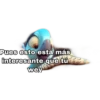 Pues esto está más interesante que tú wey