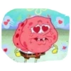 bob toronja 15