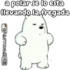 a polar se lo esta llevando la fregada CHPADTHUDASPIA
