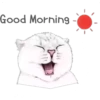 Cat Talk 10