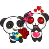 Panditas enamorados 17