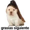perritus beibes 16
