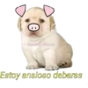 perritus beibes 17