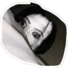 jeje 23