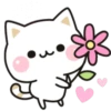 Cat 18