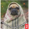 Secuencias de perritos 23