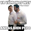 YA VÁMONOS WEY
*Pilar Mata*
a mosca
ANDAS BIEN PEDO