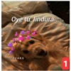 Secuencias de perritos 24