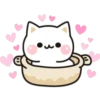 Cat 20