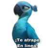 ¡Te atrape En línea!